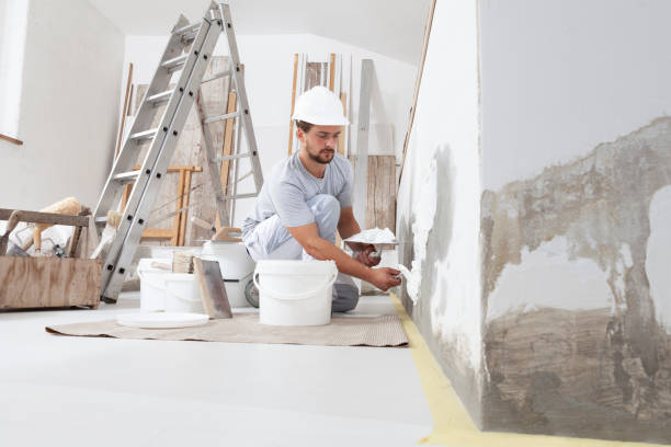 Best Mold Odor Removal Services  in Robstown, TX